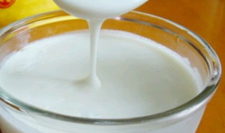 炖酸奶该怎么做 炖酸奶的做法