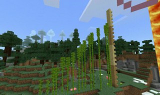 我的世界竹子种植技巧 我的世界竹子种植方法