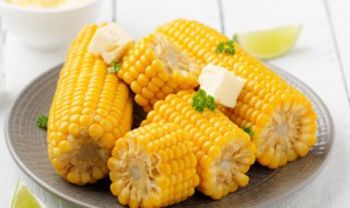 玉米怎么做才好吃营养 玉米怎么做营养又好吃