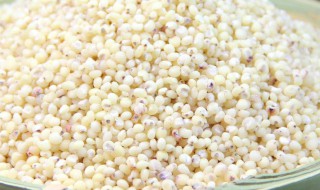 白高粱米的功效与作用 红高粱与白高粱米的功效与作用