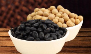 黑豆和黄豆的区别功效 黑豆和黄豆的区别功效与作用