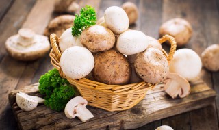 普通蘑菇煮多久能熟 蘑菇煮多久能熟