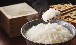 怎么用碗在锅里蒸米饭 一个人用碗怎么蒸米饭