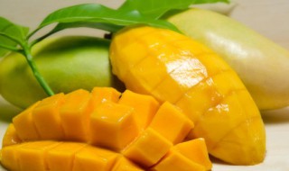 芒果不能和什么一起吃可以减肥吗 请问芒果不能和什么食物一起吃
