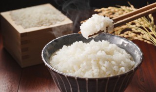 米饭含糖量高还是水果含糖量高 米饭的含糖分高吗