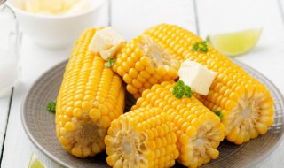 生玉米煮多长时间才能熟 玉米要煮多久会熟