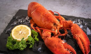 龙虾和猪肉能一起吃吗会中毒吗 龙虾和猪肉能一起吃吗
