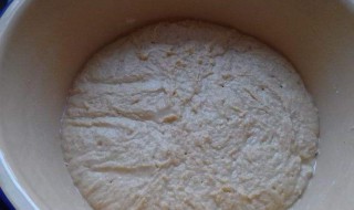 面粉发酵哪种方法好 面粉发酵用什么发酵最好?