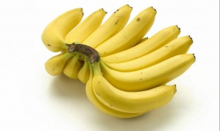 香蕉什么时候种下去最好活 香蕉什么时候种下去最好