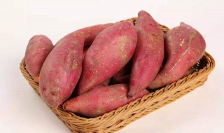 夏季红薯怎么保存 夏季红薯怎么保存不会烂掉