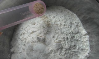 发酵粉和面怎么弄 面粉发酵粉怎么用