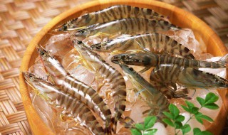 基围虾的须有什么作用 基围虾的用途