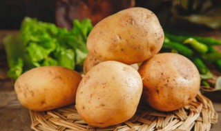 土豆什么时候种最合适北方 土豆的什么时候种