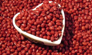 红豆是什么功效与作用禁忌 红豆是什么功效与作用
