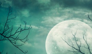 关于月的成语有哪些 关于月的成语
