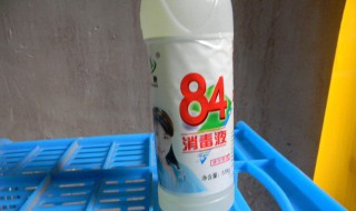 84消毒液能清鱼缸吗 84可以消毒鱼缸吗