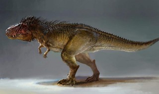 恐龙是怎么灭绝的资料 恐龙是怎么灭绝的