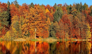 秋天有哪些自然景色 秋天有什么自然景物