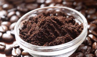 过期的咖啡粉能当种花吗 过期咖啡粉能做肥料吗