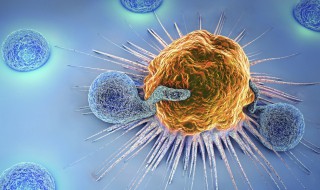 免疫力属于什么免疫 接触传染源后获得的免疫力属于什么免疫