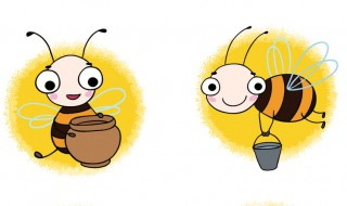 怎样分蜂不回蜂 怎样分蜂时蜂不会飞走