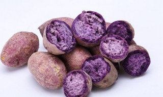 紫薯不能和什么一起吃（紫薯不能和什么一起吃 食物相克）