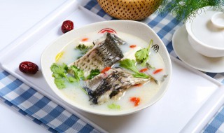 黑鱼用电饭煲怎么炖汤 电饭锅做黑鱼汤怎么做好吃