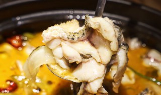 酸菜柴鱼汤怎么做 酸菜柴鱼汤怎么做才好吃