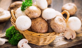 油炸蘑菇怎么做好吃 炸蘑菇的最简单做法怎么炸酥脆