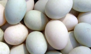 鸭蛋怎么做才能减少腥味儿 鸭蛋怎么做才能减少腥味