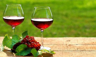 葡萄酒怎么喝是正确的 葡萄酒怎么调配好喝