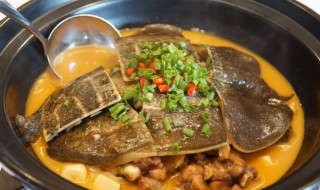 甲鱼的烹饪方式 甲鱼的烹饪的方法