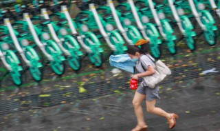 台风风力最大的部位是哪（台风风力最大的部位是哪个地方的视频）