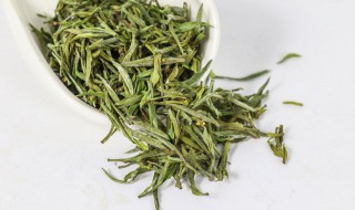 茶叶冷冻好还是冷藏好（绿茶冷冻还是冷藏保鲜好）