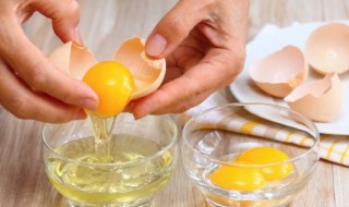 鸡蛋的英语怎么读音 鸡蛋的英语怎么读音发音
