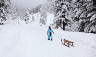 梦见下大雪什么征兆 梦见下大雪寓意什么