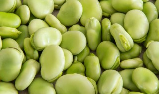 大蚕豆怎么做好吃法 大蚕豆怎么做好吃法大全