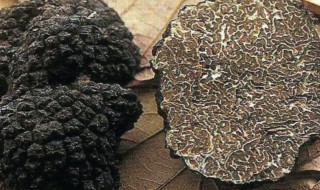 黑松露怎么吃最好 黑松露的功效与作用