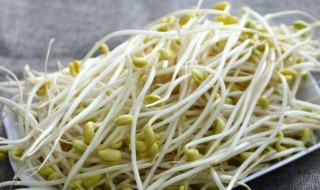 黄豆芽的种植方法 豆芽种植方法