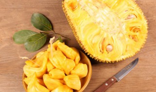 菠萝蜜的常见吃法和做法 菠萝蜜的常见吃法
