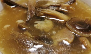 鹿茸菇排骨汤面的做法 鹿茸菇排骨煲汤的做法大全家常