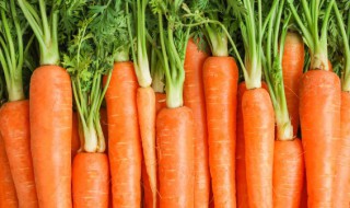 胡萝卜一天吃多少合适