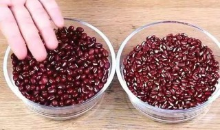 红小豆和赤小豆有何区别 红小豆和赤小豆的区别的作用