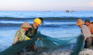 裸藻在水产养殖中的危害（裸藻在水产养殖中的危害）