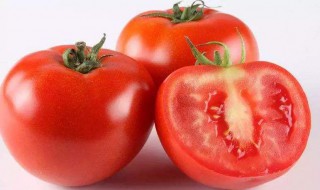 西红柿也是番茄吗为什么 西红柿也是番茄吗