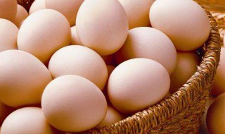 鲜鸡蛋可生食吗 生鲜鸡蛋可以放冰箱吗