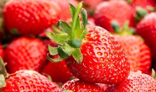 草莓的功效与作用 草莓的功效与作用有哪些