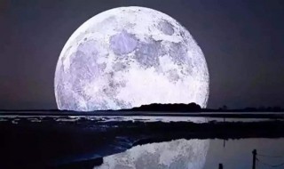 月是故乡明的作者是谁 露出今夜白月是故乡明的作者是谁
