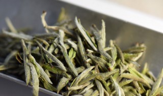 白茶属于什么茶红茶还是绿茶 白茶属于什么茶