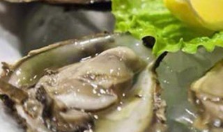 牡蛎泡茶功效与作用是什么 牡蛎泡茶功效与作用
